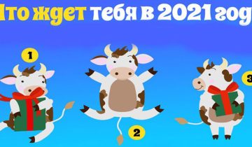 следующий Год Быка