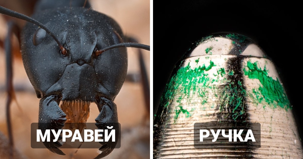 крошечный мир