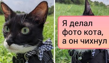 запечатлены маленькие шедевры