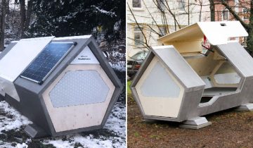 Ульмские гнезда
