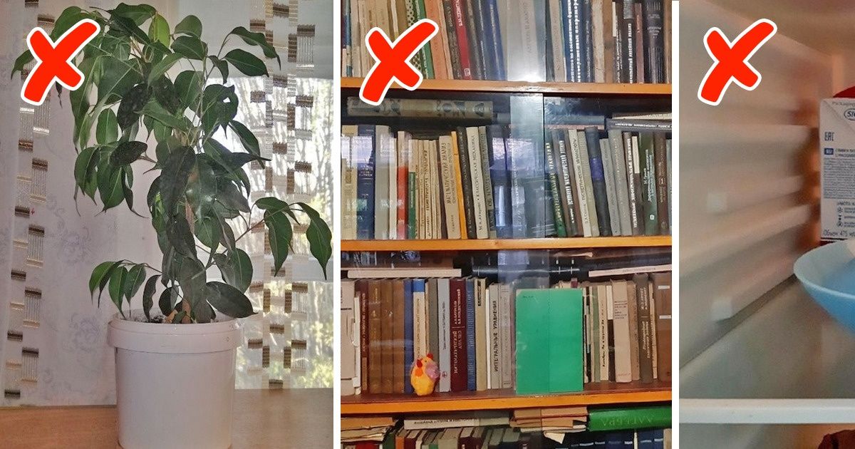 разрушают уют в доме