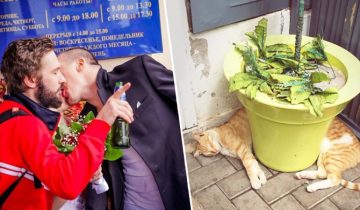 взрывается мозг