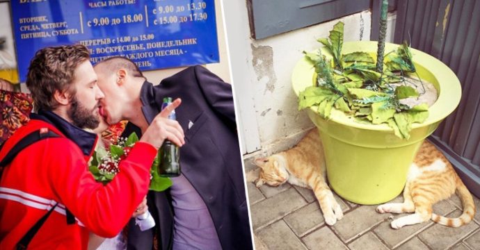 взрывается мозг