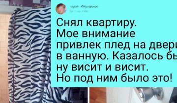 Новый дом