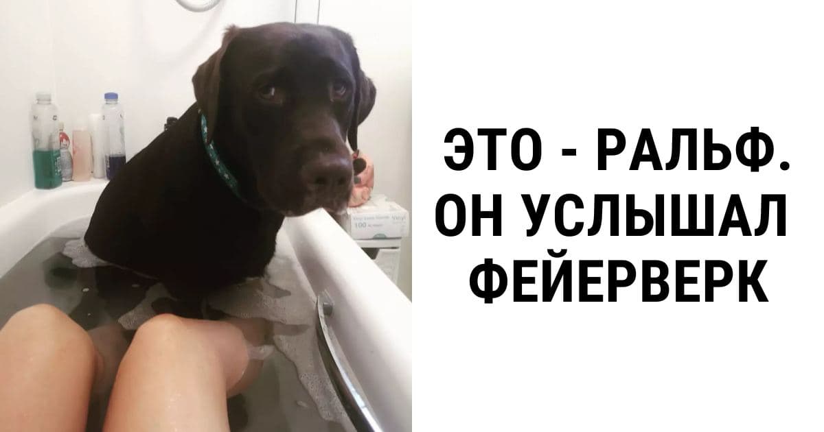 много заслуженных лайков