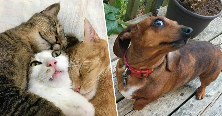 15 удивительных эмоций