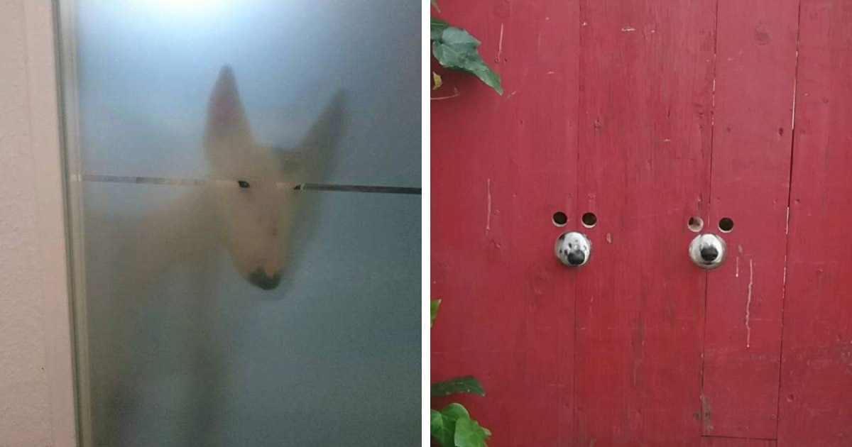 не дают побыть наедине