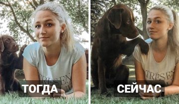 Милые щеночки