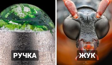 обычные предметы вблизи