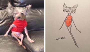 Художник, который не умеет рисовать