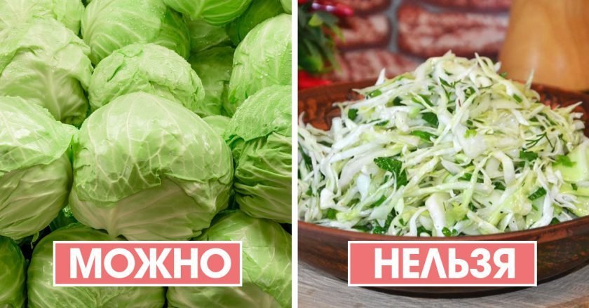 превратить полезные продукты