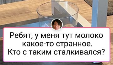 Жидкие котики