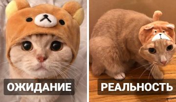 Онлайн-покупки стали провалом