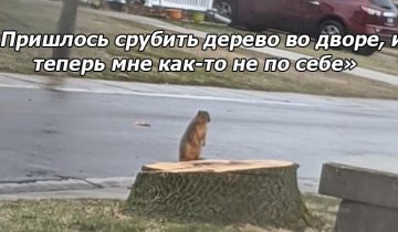 не были готовы к такому