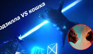 Годзилла сражается с кошой