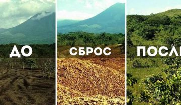 апельсиновые корки спасли природу