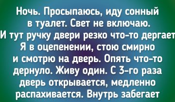 17 настоящих историй