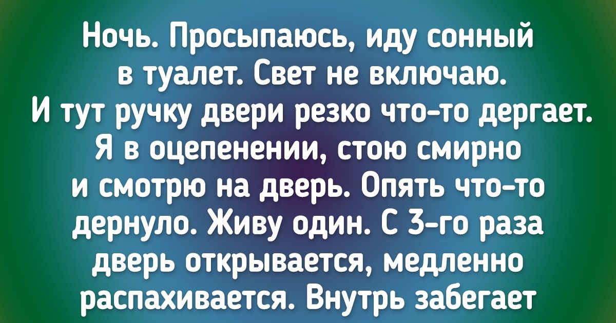 17 настоящих историй