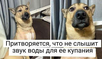 настоящие эмоции