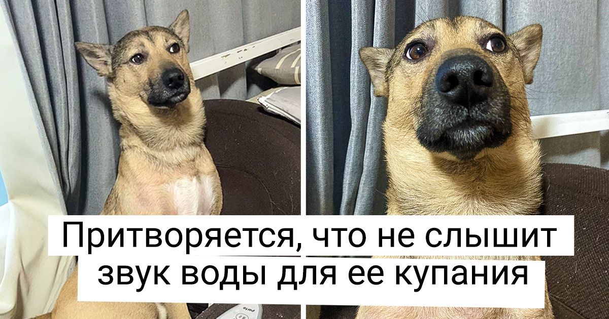 настоящие эмоции