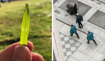 мы живем в матрице