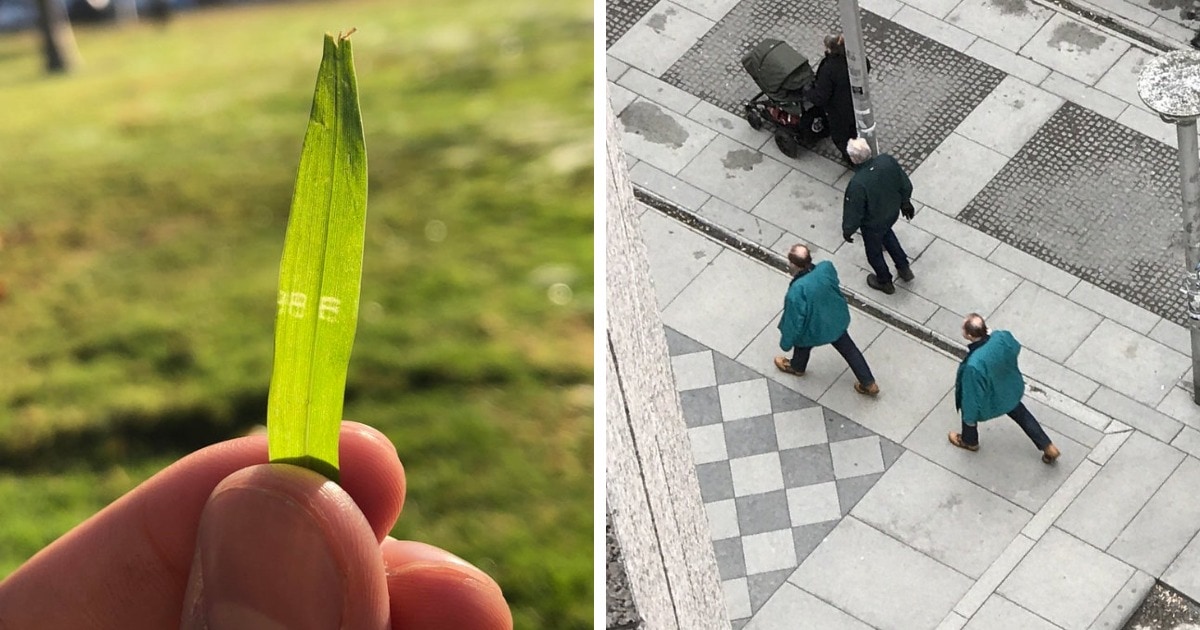 мы живем в матрице