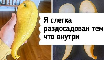 вырастили нечто невообразимое
