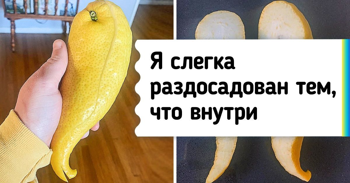 вырастили нечто невообразимое