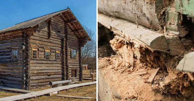 старинные срубы стоят веками