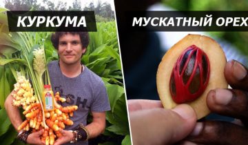 импортные продукты