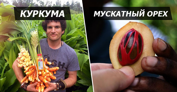 импортные продукты