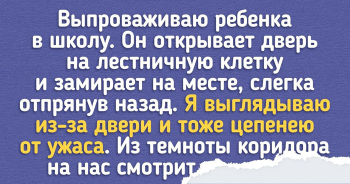 о жизни в Израиле
