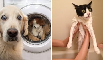тяжело понять мир людей