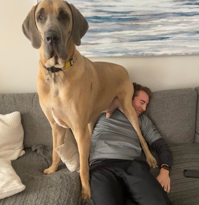 лишились личного пространства