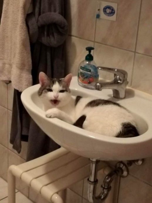 Кто же их так расстроил