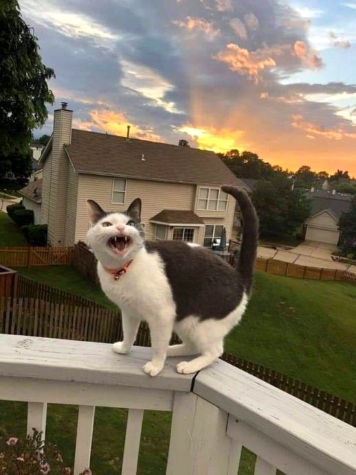 Кто же их так расстроил