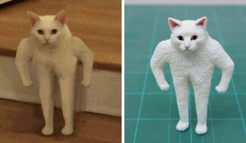 по мотивам мемных животных