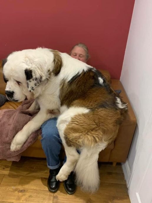 восторг и восхищение