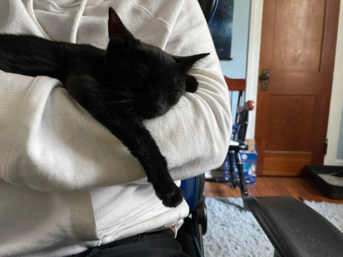 нашли новый дом и счастливы