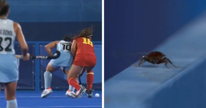 момены с Олимпиады в Токио