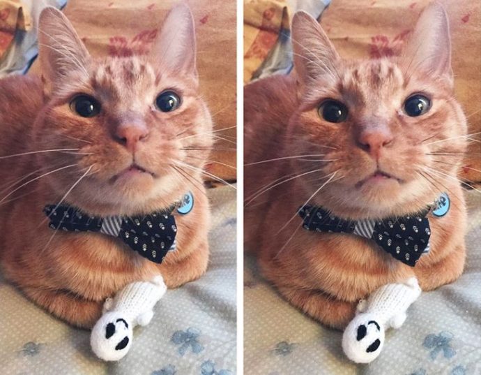 переживают за свои игрушки