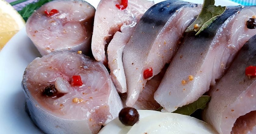 Малосольная скумбрия