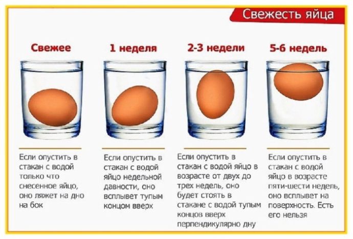 определить свежесть куриных яиц