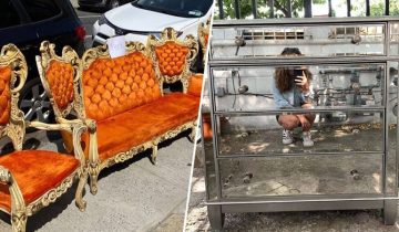 выбросили настоящие сокровища