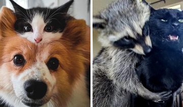 нашли себе близких друзей