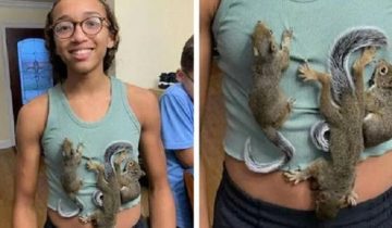 стала мамой бельчатам