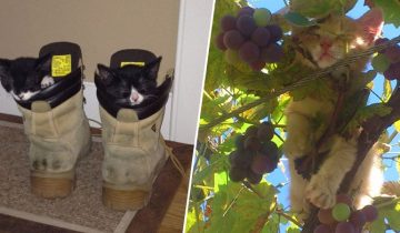 Уснуть можно где угодно