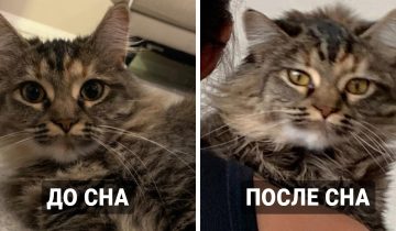 процессы меняют все вокруг