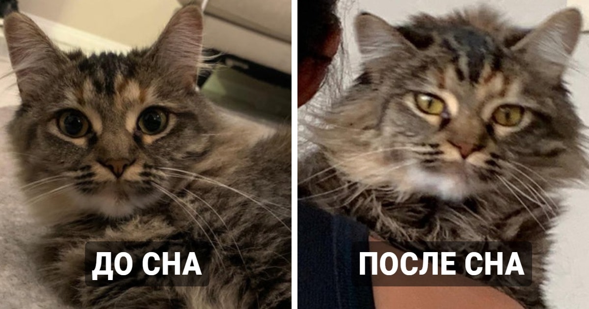 процессы меняют все вокруг
