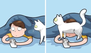 Каждый котовладелец поймет